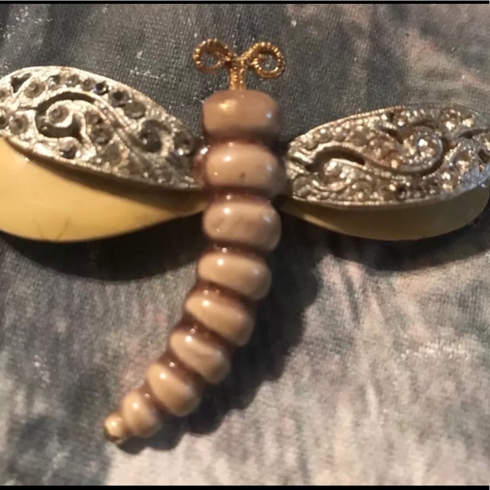 Vintage Dragon Fly House